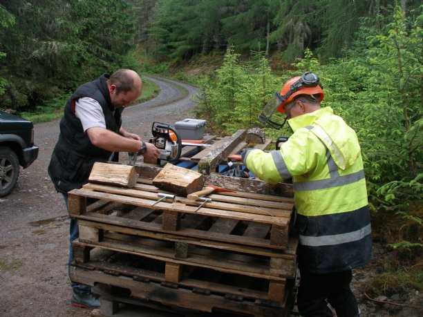 Chainsaw Maintenance Instruction